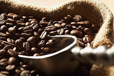 育碧或将推出《刺客信条：大革命》复刻版 期待吗？